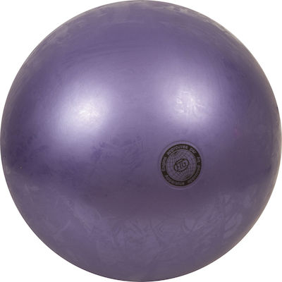 Amila 98937 Minge de gimnastică ritmică cu Diametru 19cm Violet