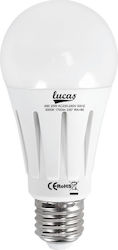 Lucas Bec LED 20W pentru Dulie E27 Alb natural