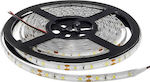 Optonica Ταινία LED Τροφοδοσίας 12V με Μπλε Φως Μήκους 5m και 60 LED ανά Μέτρο Τύπου SMD2835