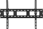 DMP EPLB144L Wall TV Mount up to 65" and 50kg