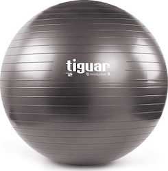 Tiguar Body Ball 3S Μπάλα Pilates 70cm σε γκρι χρώμα