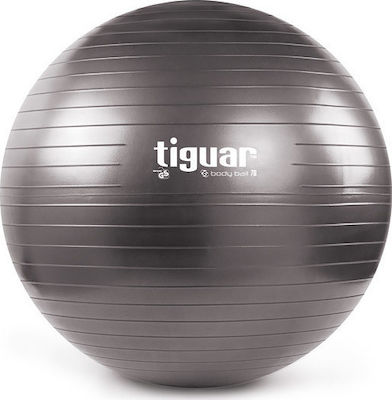 Tiguar Body Ball 3S Pilates Ball 70cm Gray