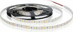 Fos me Waterproof LED Strip Power Supply 12V with Natural White Light Length 5m and 60 LEDs per Meter SMD5050