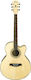 Ibanez Semi-acustic Chitară AEL20E Chitare acustice cu decupaj Natural