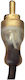 Lampa Rza5000 Kabel RCA-Stecker - RCA-Stecker 5m
