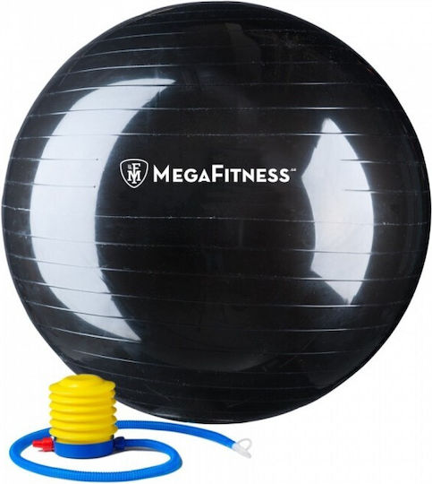 Ruilin 100624 Minge Pilates 75cm , 1.28kg în culoare Gri