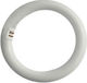 VK Lighting Leuchtstofflampe für Fassung G10Q mit Form T9 15W