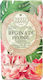 Nesti Dante Love & Care Soap Bar 250gr