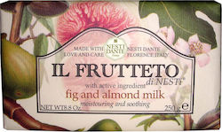 Nesti Dante Il Frutteto 250gr