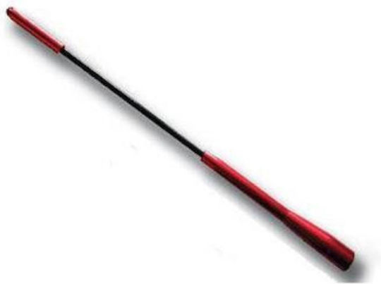 Auto Gs Antenă Auto Plafon Sport 18cm Înșurubat pentru Radio în Culoare Roșu