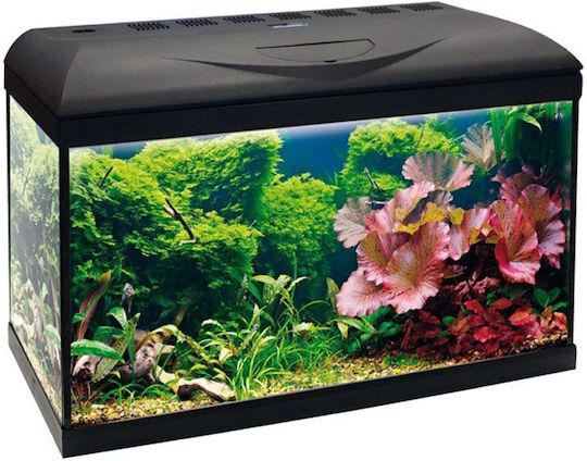 Croci Amtra Basic 80 Led Acvariu de Pești cu Capacitate de 126lt cu Iluminare, Încălzitor, Filtru și 80x32x49cm. Negru
