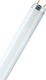 Ledvance Fluorescent Lamp for Socket G13 with Shape T8 58W