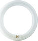 Philips Fluorescent Lamp for Socket G10Q with Shape T9 40W