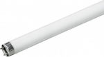 Diolamp Fluorescent Lamp with Shape T8 30W