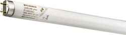 Sylvania Φθορίου G13 με Σχήμα T8 25W 0000879