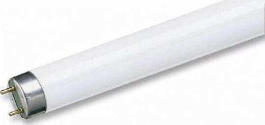 Geyer Fluorescent Lamp for Socket G13 with Shape T8 18W