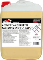 Feral Șampon Spumă Activă With Wax 10lt