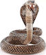 Schleich-S Wild Life Cobra Pentru 3+ Ani 5,59 Cm (Diferite Modele)