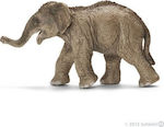 Schleich-S Asian Elephant Calf