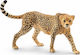 Schleich-S Wild Life Cheetah Female για 3+ Ετών 5εκ. (Διάφορα Σχέδια)