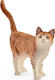 Schleich-S Farm World Cat για 3+ Ετών 5.6εκ. (Διάφορα Σχέδια)