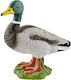 Schleich-S Farm Wold Drake για 3+ Ετών 4.5εκ. (Διάφορα Σχέδια)