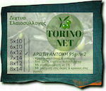 Torino Net Ελαιόδιχτο 6x12m Πυκνότητας 95gr/m²