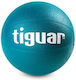 Tiguar Medicine Ball 2kg Blue