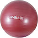 Amila Pilates Ball 65cm 2kg Red Bulk