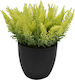 Ankor Artificial Plant in Small Pot Black 18cm 1pcs