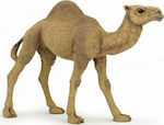 Papo Miniature Toy Dromedary 9cm.