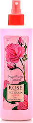 Bio Fresh Rose Of Bulgaria with Natural Rose Water 230ml