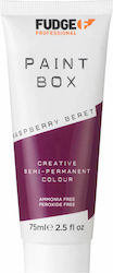 Fudge Professional Paintbox Semi-Permanent Conditioning Colour Raspberry Beret