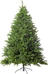 Washington Tree 210cm Washington Tree 210cm