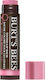 Burt's Bees Getönter Lippenbalsam Pink Blossom ...