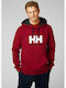 Sweatshirt with Hood Burgundy