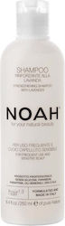 Noah For Beauty Sampon De Par Pentru Scalp Sensibil 250ml