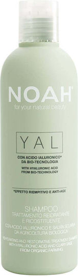 Noah for Beauty Yal Shampoos für Zerbrechlich Haare 250ml