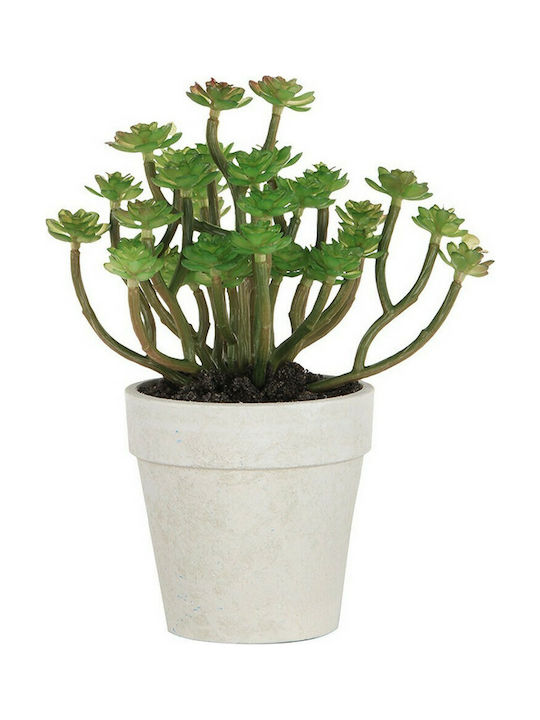 Artekko Artificial Plant in Small Pot Succulent Plant Green 17.7cm 1pcs