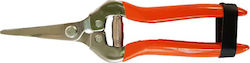 Pruning Shears Grape