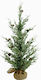Christmas Tree 75cm in Pot