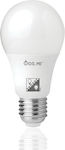 Fos me LED Lampen für Fassung E27 und Form A60 Kühles Weiß 750lm 1Stück
