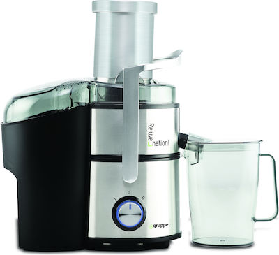 Gruppe Rejuvenation Juicer 800W Silver