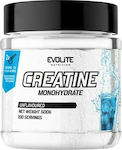 Evolite Creatine Monohydrate Ungesüßt