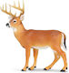 Safari Ltd Miniature Toy Whitetail Buck