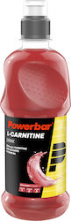 PowerBar L-Carnitine Low Calorie Drink mit Geschmack Wild Berry 500ml