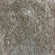 Ns Carpets Cut-to-Measure Carpet Venus Beige