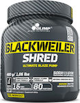 Olimp Sport Nutrition Blackweiler Shred Pre-Workout-Ergänzung 480gr Exotische Orange