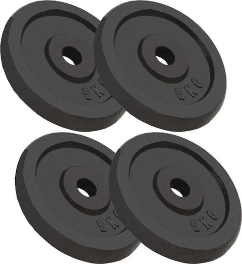 vidaXL Set of Plates Metal 4 x 5kg Φ30mm