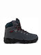 Chiruca Xacobeo 05 Gore-Tex Ανδρικά Ορειβατικά Μποτάκια Αδιάβροχα Γκρι